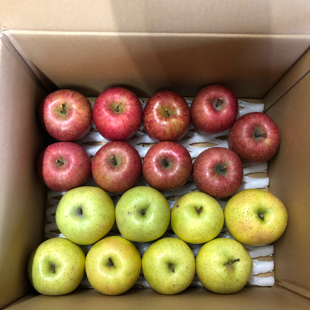 りんご10kg(もも様専用) 食品/飲料/酒の食品(フルーツ)の商品写真