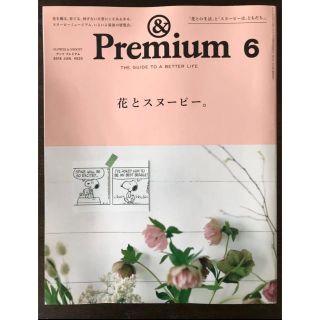 &Premium  54 / アンドプレミアム  2018 6月号(住まい/暮らし/子育て)