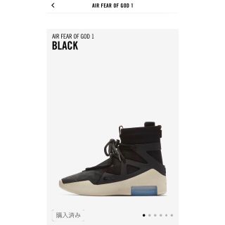 ナイキ(NIKE)のNIKE Air Fear of God 1 (スニーカー)