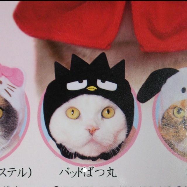 ねこのかぶりもの バッドばつ丸 サンリオキャラクターズ2の通販 By モモ2302 S Shop ラクマ ねこのかぶりもの バッドばつ丸 サンリオキャラクターズ2の通販 By モモ2302 S Shop ラクマ