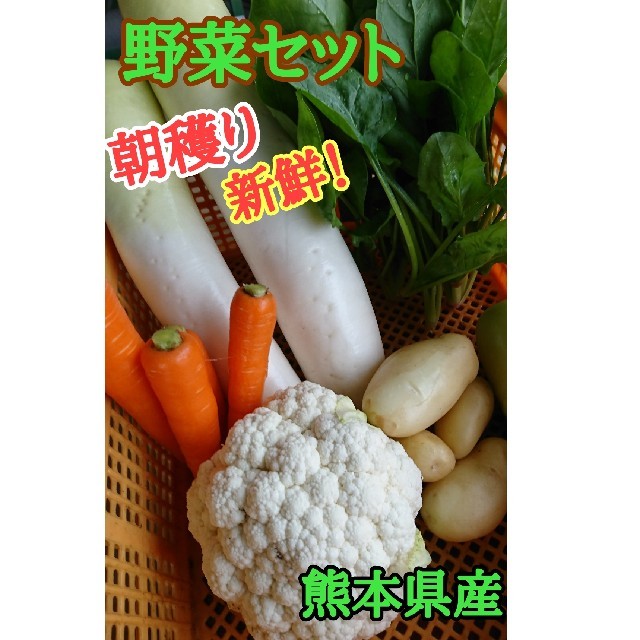 残り僅か！野菜セット　熊本県産（低農薬） 食品/飲料/酒の食品(野菜)の商品写真