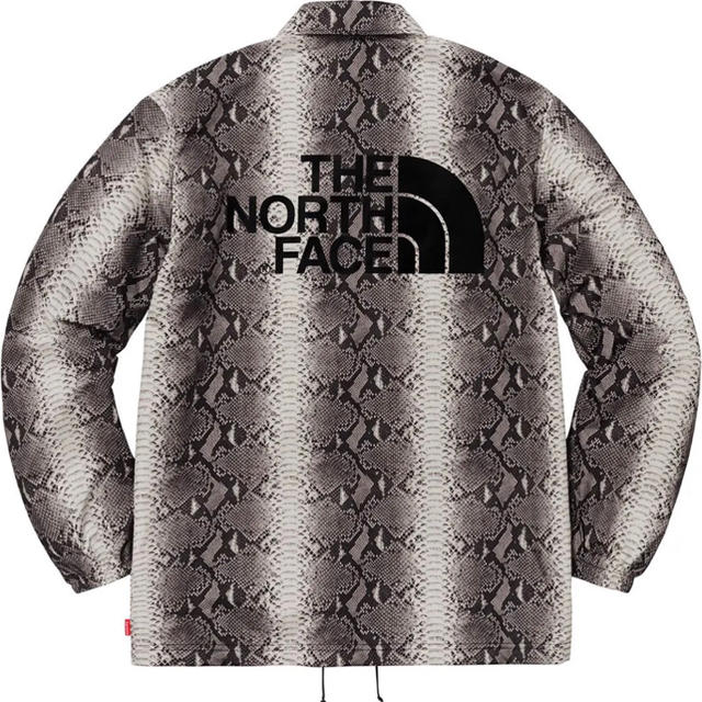 18SS supreme×THE NORTH FACE snakeskin S