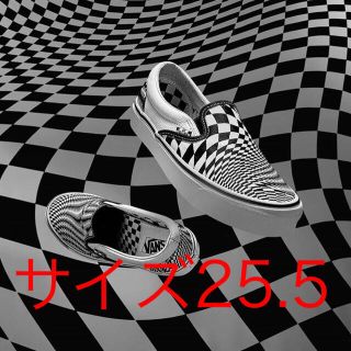 ヴァンズ(VANS)のEND×VANS スリッポン(スリッポン/モカシン)