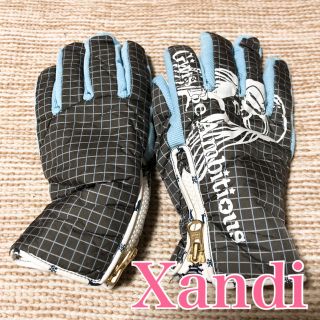 ロキシー(Roxy)のXandi スキー スノボーグローブ レディース(ウエア/装備)