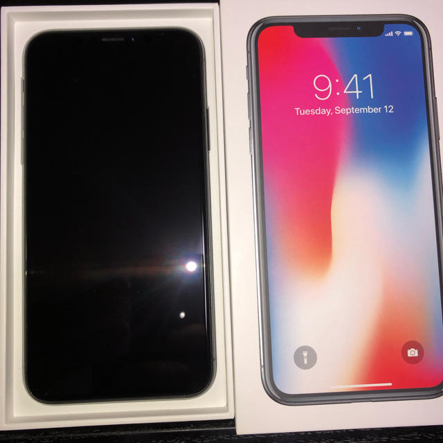 iPhone X 256GB