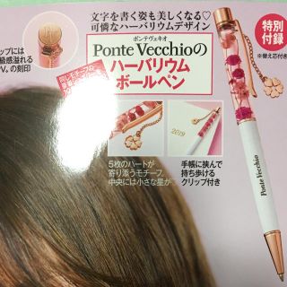 ポンテヴェキオ(PonteVecchio)の【未開封・送料込】美人百花 付録 ポンテヴェキオ ボールペン(ペン/マーカー)