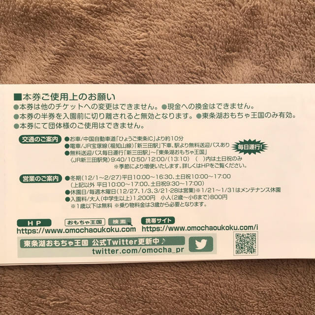 【送料込】東条湖 おもちゃ王国 特別入園券 2枚 チケットの施設利用券(遊園地/テーマパーク)の商品写真