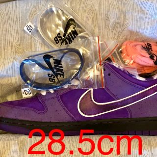 ナイキ(NIKE)のSB ダンク LOWプロ Nike purple lobster(スニーカー)