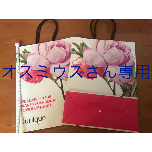 Jurlique(ジュリーク)のジュリーク ショップ袋 2枚 レディースのバッグ(ショップ袋)の商品写真