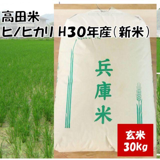 食品/飲料/酒兵庫県産直送 高田米 減農薬 ヒノヒカリ/ 玄米 / 30kg/ H30年産