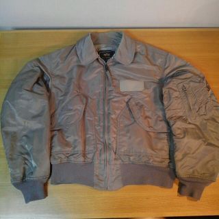 アルファインダストリーズ(ALPHA INDUSTRIES)のアルファ CWU45 / P ( N )  Titanium Color  L(フライトジャケット)