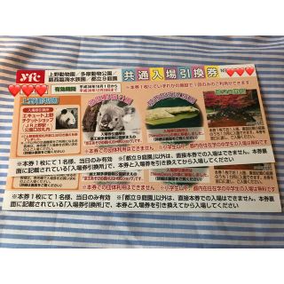 上野.多摩動物/葛西臨海/都立9庭園/共通無料入園券(遊園地/テーマパーク)