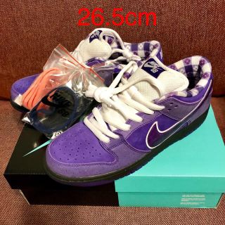 ナイキ(NIKE)のl9essang様専用 26.5 26 2足 NIKESB CONCEPTS (スニーカー)