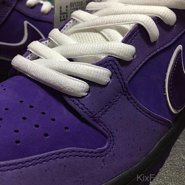 NIKE(ナイキ)の黒タグ 26 NIKE DUNK SB PURPLE LOBSTER ロブスター メンズの靴/シューズ(スニーカー)の商品写真