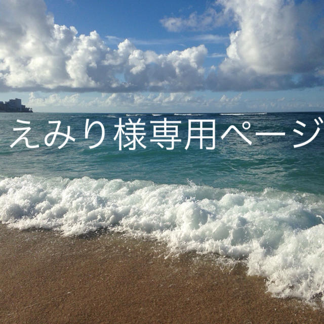 えみり様専用ページ - www.husnususlu.com