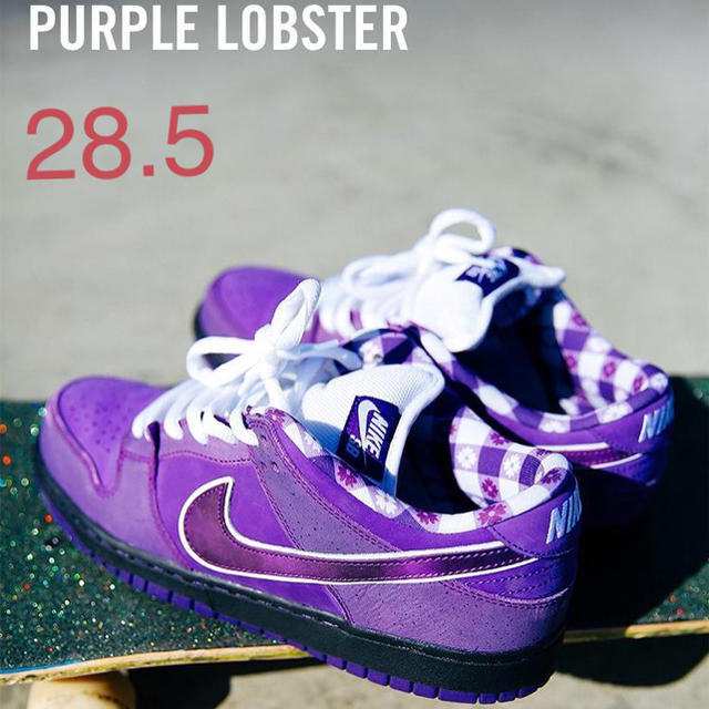 NIKE(ナイキ)のNIKE SB DUNK LOW PURPLE lobster 【28.5】 メンズの靴/シューズ(スニーカー)の商品写真