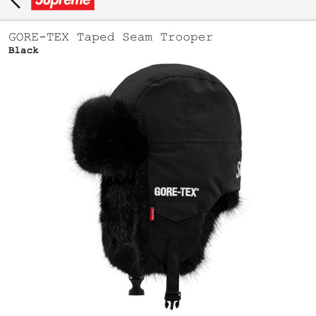Supreme(シュプリーム)のSupreme GORE-TEX Taped Seam Trooper  メンズの帽子(ニット帽/ビーニー)の商品写真