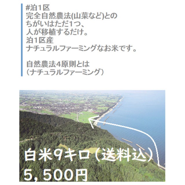 2018年富山県産100％コシヒカリ　　ナチュラルファーミング白米９キロ　無農薬