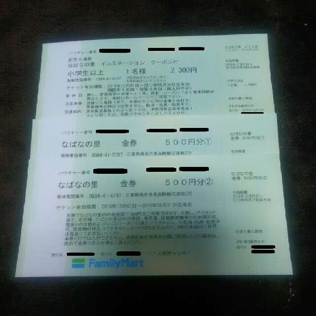 なばなの里 入村券+2000円分金券付き イルミネーション