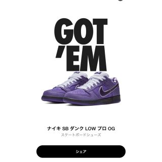 ナイキ(NIKE)のNIKE SB DUNK LOW PURPLE lobster(スニーカー)