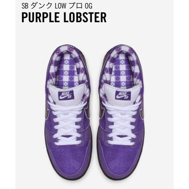 NIKE(ナイキ)のCONCEPTS×NIKE SB DUNK LOW PURPLE LOBSTER メンズの靴/シューズ(スニーカー)の商品写真