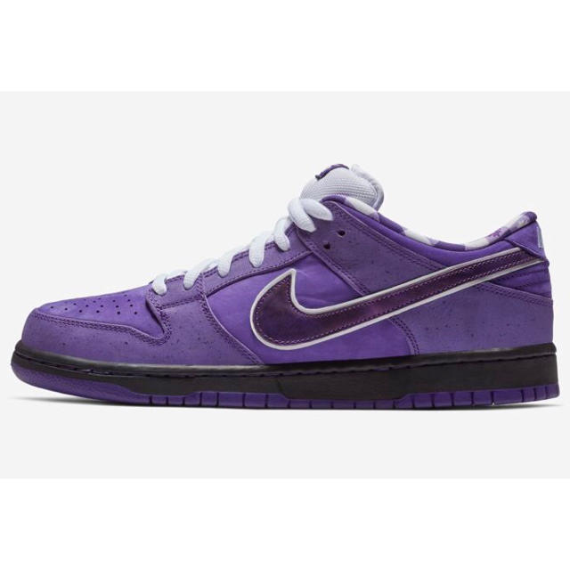 NIKE(ナイキ)のCONCEPTS×NIKE SB DUNK LOW PURPLE LOBSTER メンズの靴/シューズ(スニーカー)の商品写真