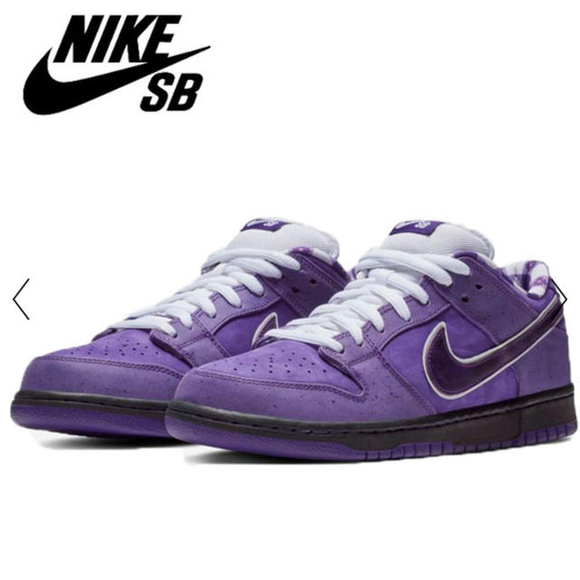 Nike sun dunk low purple lobster