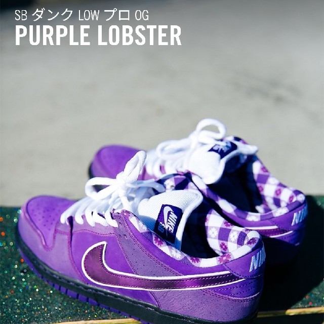 NIKE(ナイキ)の26.0cm Concepts X Nike SB Purple Lobster メンズの靴/シューズ(スニーカー)の商品写真