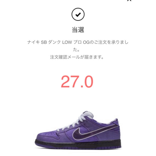 27.0 送料込み  ナイキオンライン購入 Nike SB DUNK low