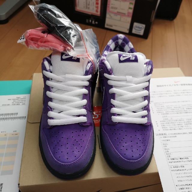 NIKE(ナイキ)のSB ダンク LOW プロ OG PURPLE LOBSTER 25cm メンズの靴/シューズ(スニーカー)の商品写真