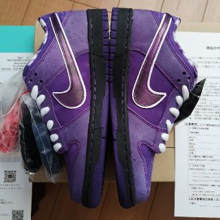 ナイキ(NIKE)のSB ダンク LOW プロ OG PURPLE LOBSTER 25cm(スニーカー)