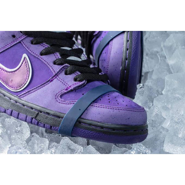 NIKE(ナイキ)の【即完売品】NIKE sb purple lobster concepts27 メンズの靴/シューズ(スニーカー)の商品写真