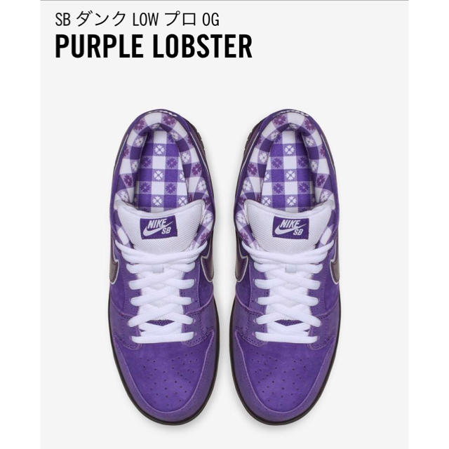 NIKE(ナイキ)のSB ダンク LOW プロ OG PURPLE LOBSTER メンズの靴/シューズ(スニーカー)の商品写真