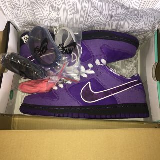 ナイキ(NIKE)のNIKE SB CONCEPTS DUNK PURPLE LOBSTER 27(スニーカー)