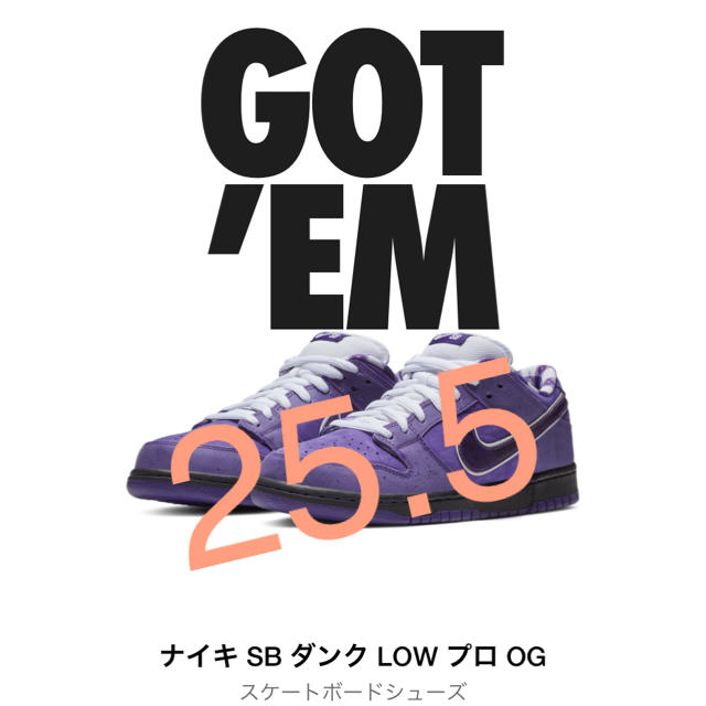 NIKE(ナイキ)のNIKE SB ダンク PURPLE LOBSTER メンズの靴/シューズ(スニーカー)の商品写真