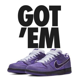 ナイキ(NIKE)のNIKE SB DUNK LOW PRO OG purple lobster(スニーカー)