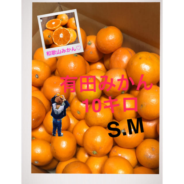 和歌山 有田みかんSM10キロ 残りわずか 食品/飲料/酒の食品(フルーツ)の商品写真