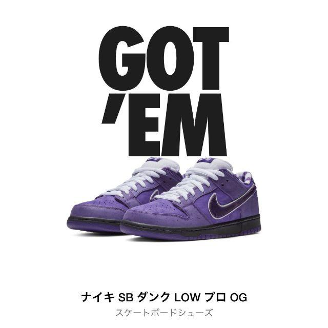 メンズNIKE SB ダンク PURPLE LOBSTER　26cm