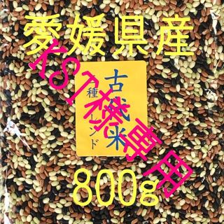 KST様専用  古代米3種ブレンド　愛媛県産　1600ｇ(米/穀物)