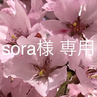 アラシ(嵐)のsora様 専用(アイドルグッズ)