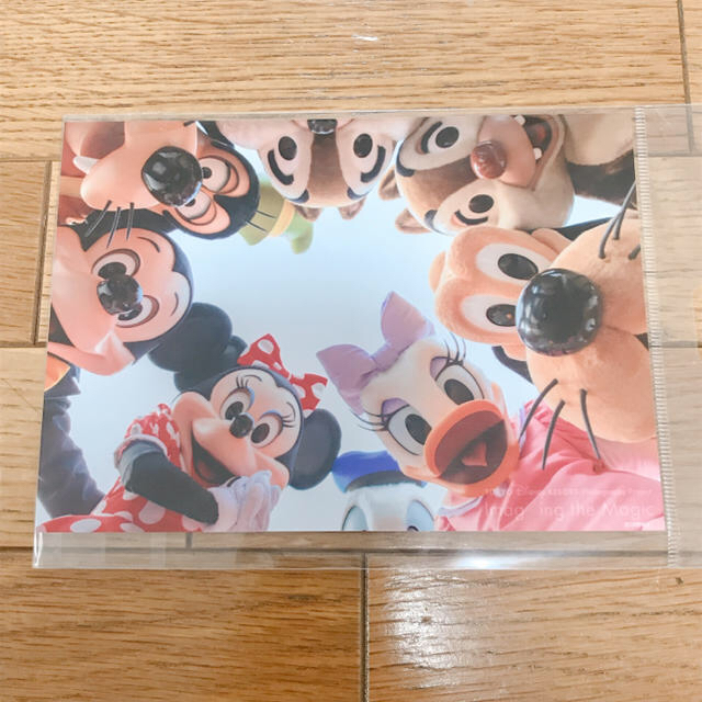 Disney(ディズニー)の東京ディズニーランド ブロマイド2枚セット エンタメ/ホビーのコレクション(印刷物)の商品写真