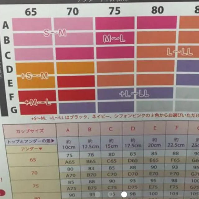 ふんわりルームブラ レディースの下着/アンダーウェア(ブラ)の商品写真