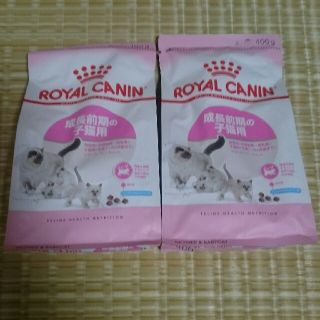 ロイヤルカナン(ROYAL CANIN)のナミゾウ様専用(ペットフード)