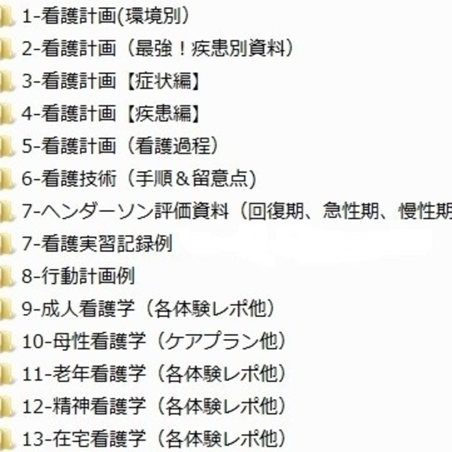 看護学生必見 増量版 看護実習効率化資料 エンタメ/ホビーの本(健康/医学)の商品写真