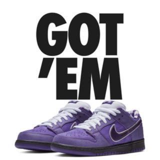 ナイキ(NIKE)のNIKE DUNK LOW SB Purple lobster 25.5(スニーカー)