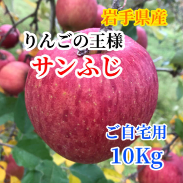 【送料込】サンふじ 10㎏ バラ詰め33〜40玉前後【農家直送】 食品/飲料/酒の食品(フルーツ)の商品写真