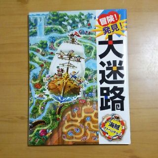 えま様専用 冒険!発見! 大迷路(絵本/児童書)