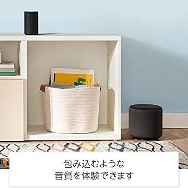 ECHO - 最終価格Echo Sub (エコーサブ) Echoシリーズ用サブウーファー