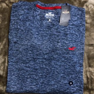 ホリスター(Hollister)のホリスター半袖シャツ(Tシャツ/カットソー(半袖/袖なし))