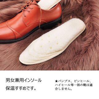 【新品】インソール 中敷(その他)